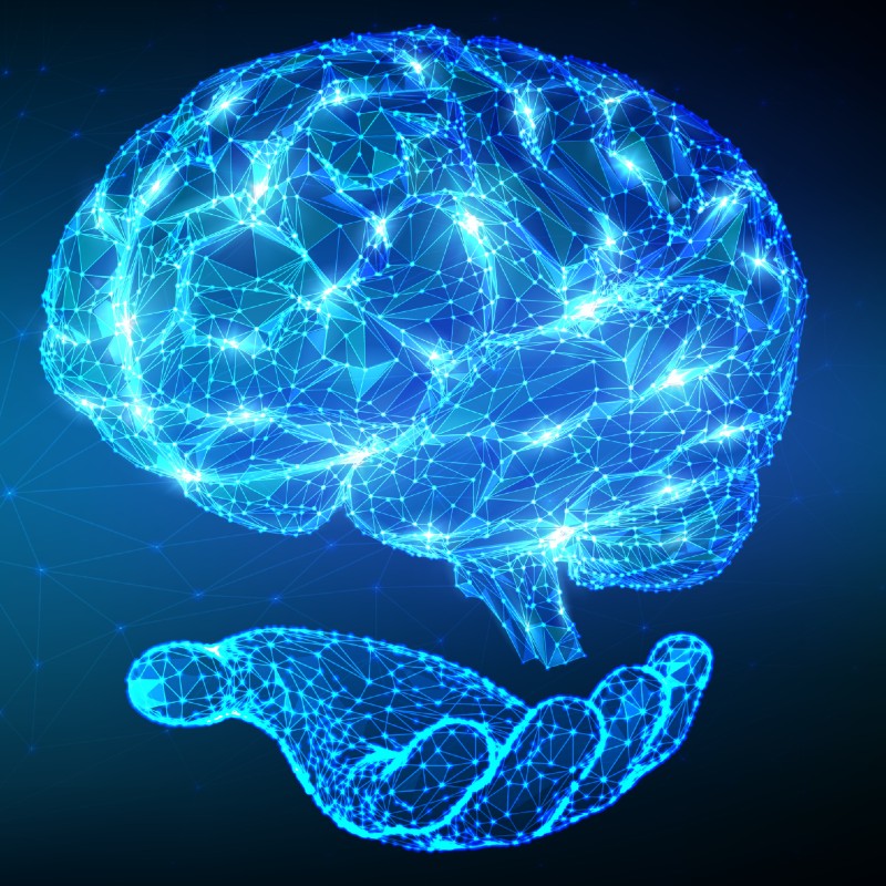 One Year Access (Donation)